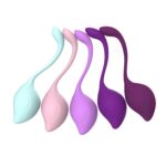 Flamingo Multi Pack | Kegel Ball 5 Set | Premium Silicone