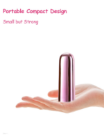 Mini Bullet App Vibrator