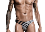 Male Power Silver Exotic  | Briefs | One Size