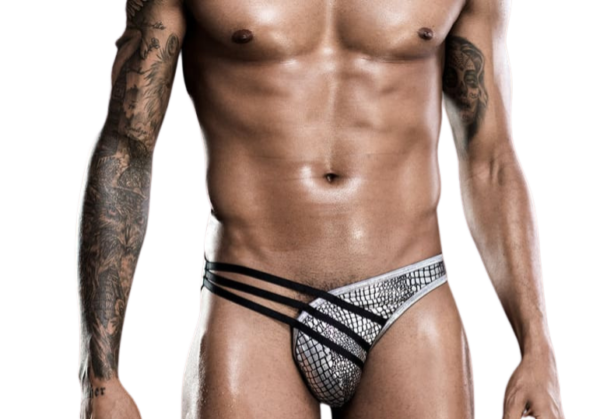 Male Power Silver Exotic  | Briefs | One Size