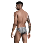 Male Power Silver Exotic  | Briefs | One Size