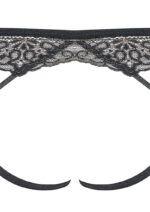 Obsessive Meshlove Crotchless Panties | Lace l Panty l Crouch less