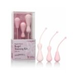 CalExotics Inspire Weighted Silicone Kegel | Training Kit