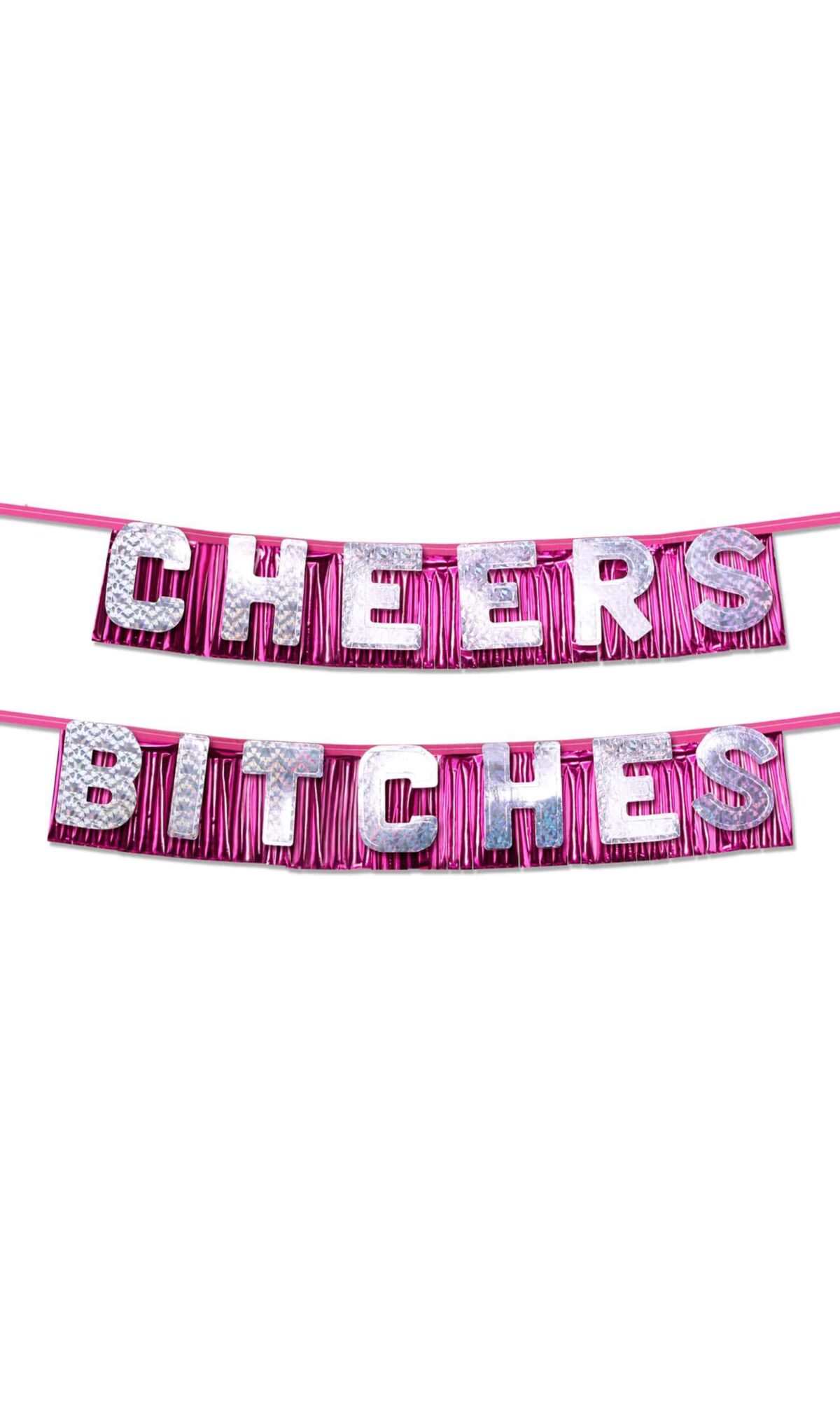 Cheers Bitches Party Banner